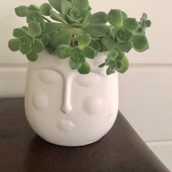 New Face Planter - Picture 10 of 11